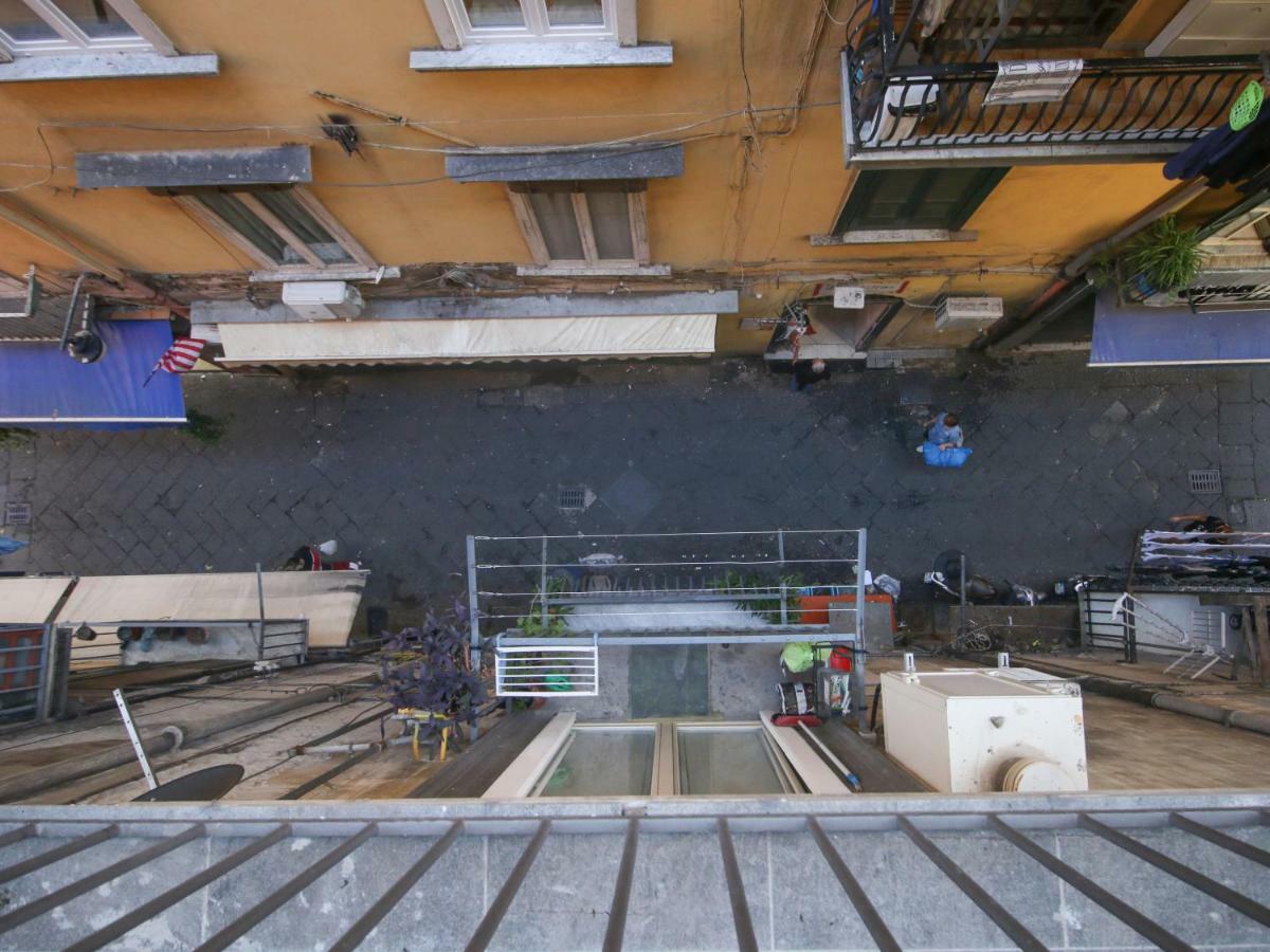 Affittacamere Pisadog Napoli