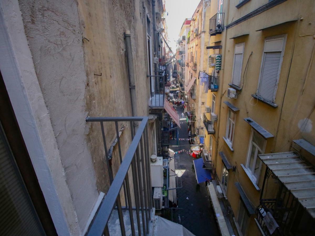 Pisadog Napoli